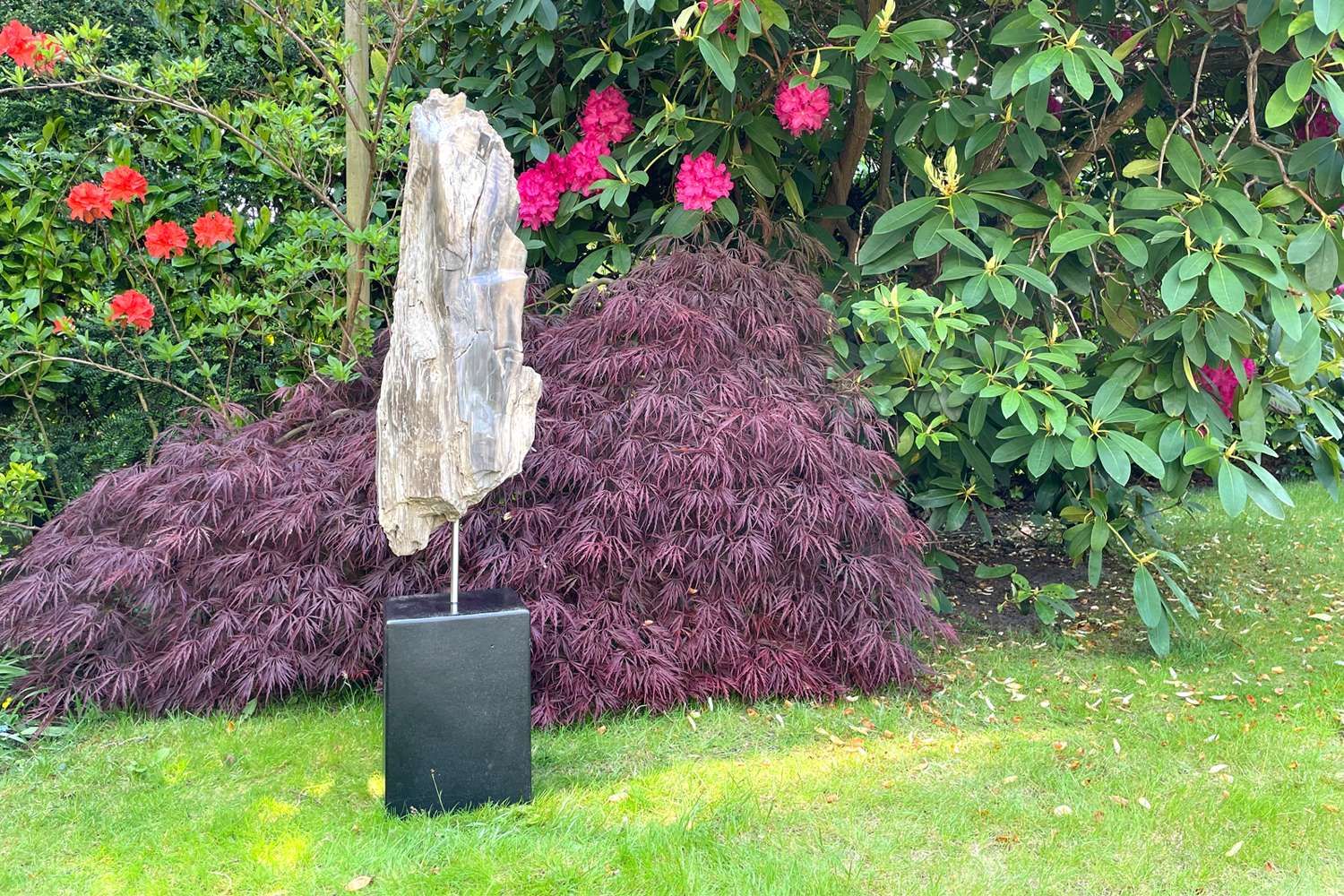 Permanent Petrified Wood Installation