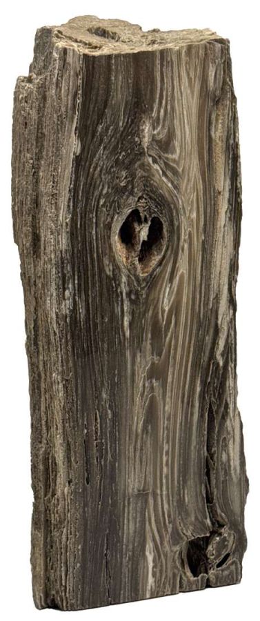 Petrified Wood Sculpture